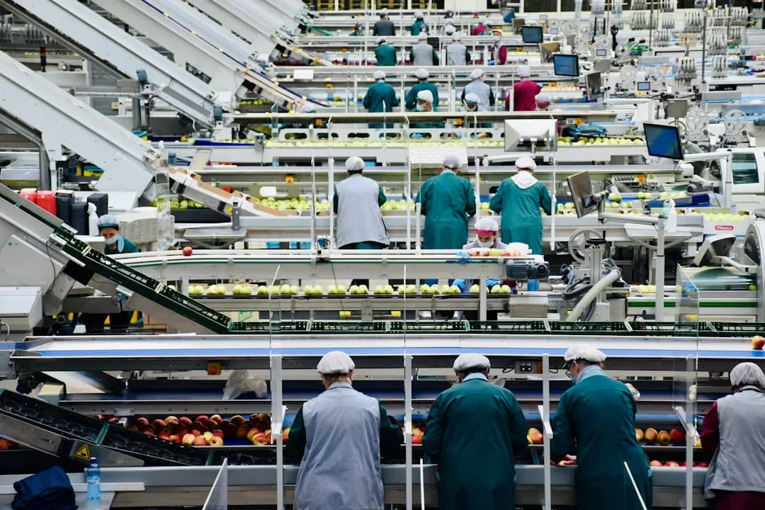 Turnkey Food Processing Plant Construction