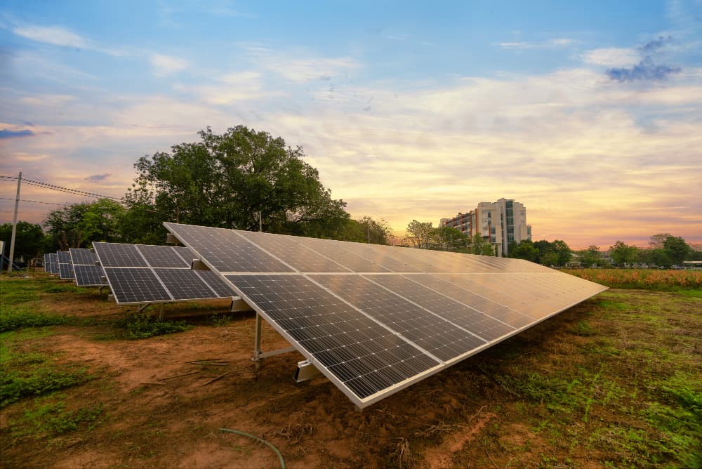 Ground-mounted solar arrays at sunset